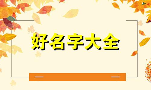 家里两个儿子如何起名字呢