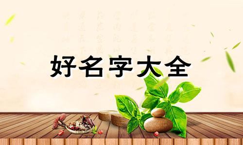 如何为一只猫起名字呢