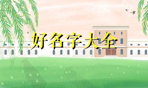 美睫店该如何起名字呢女生