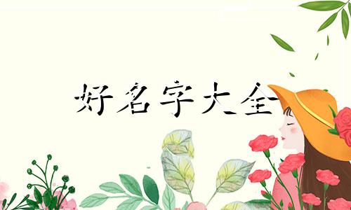 如何给双胞胎狗起名字好听