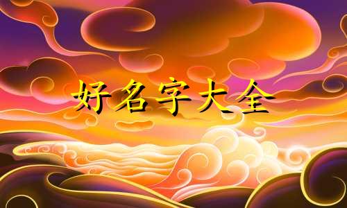 二次元网站如何起名称