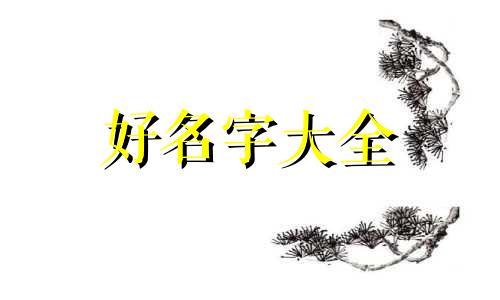 花茶店如何起名字好听一点