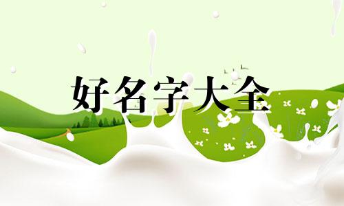 胖子如何起名字女士两个字