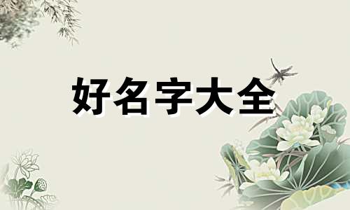 女孩如何起名字啊两个字