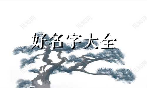 捡了一只狗如何起名字好听