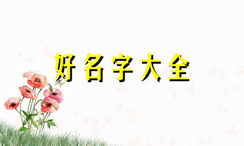 如何给大红袍起名字呢女生