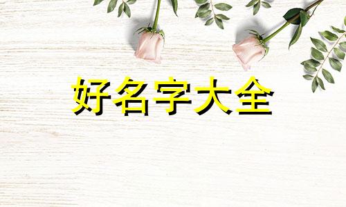 女孩的名字带铭字如何起名字