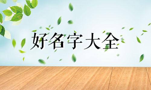 给小猫如何起名字好听一点