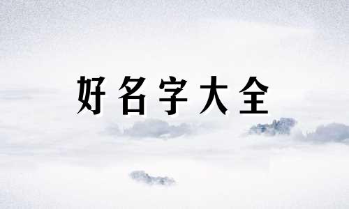 连锁店如何起名字吸引人