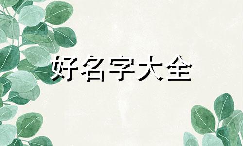 日系服装店如何起名字的
