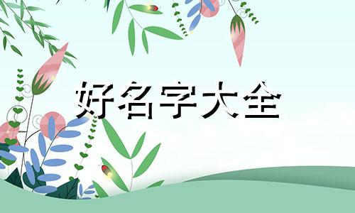 滋补品公司如何起名字好听点