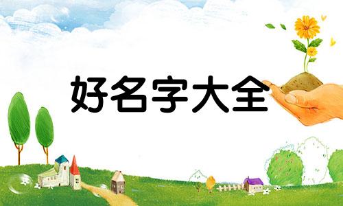 小飞鼠如何起名字好听一点