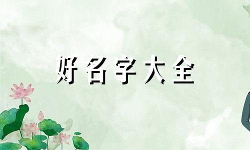 姓林如何起名字男孩两个字