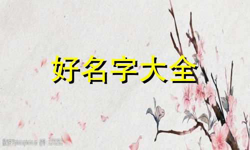 植物箱如何起名字好听一点