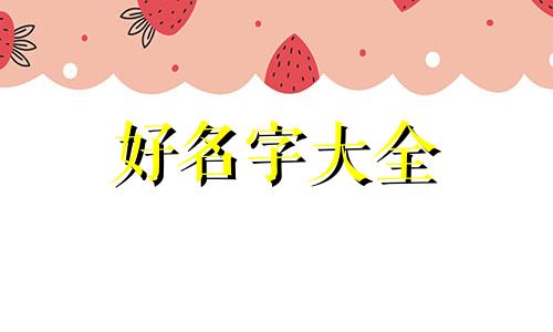 如何给小兔子起名字母的