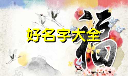 如何给小猫咪起名字呢好听