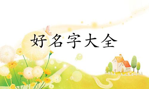 如何看五行给公司起名字