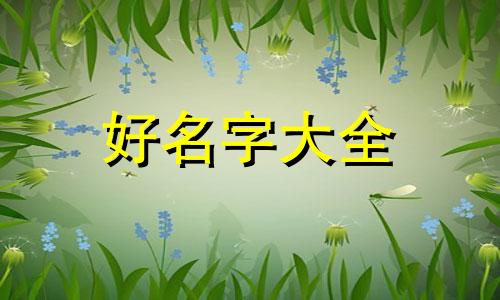 如何给爱豆头像绘画起名字