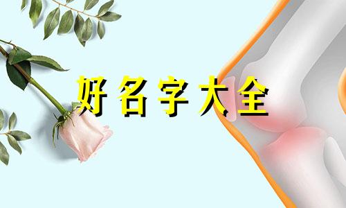 公司名称加个毅如何起名字