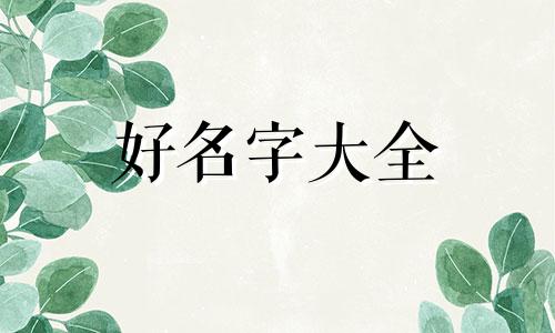 给留言板如何起名称呢英文
