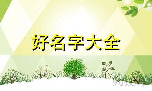 卖鲜花如何喊人起名称吸引人