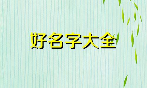 做小红书如何起名字吸引人