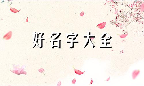 炒货如何起名好听一点儿