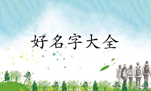 宠物群如何起名字好听一点