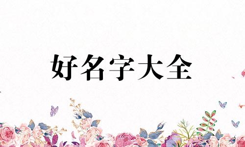 雪貂如何起名好听一点的名字