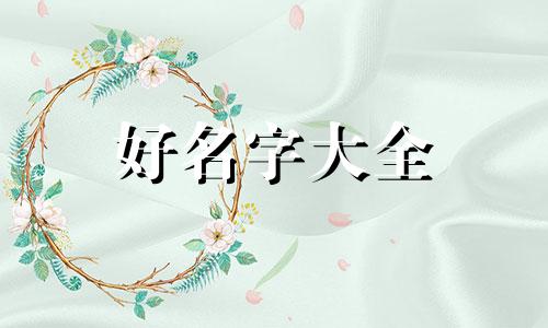 如何给自己的篮球画画起名字
