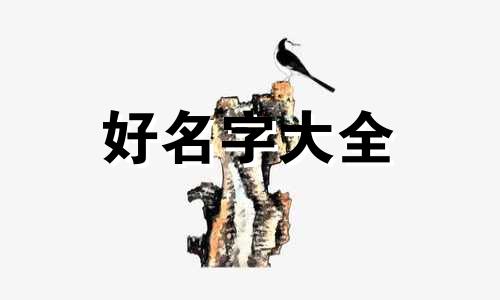 女发型师如何起名字好听点