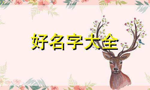 男生女生如何起名子好不好