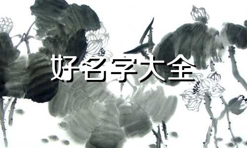 生僻字如何创作起名字的书