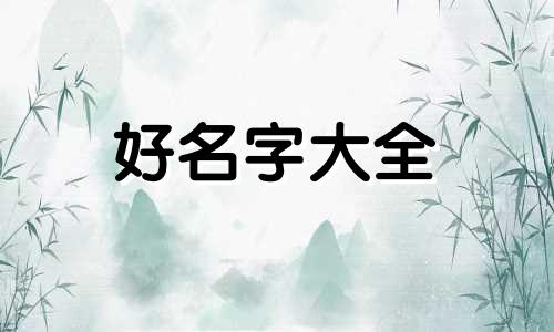 如何给自己的奇石店起名字