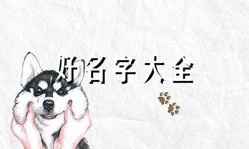 四川麻辣烫如何起名字