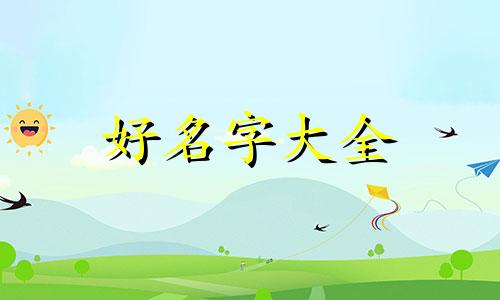熊猫如何起名好听一点女生