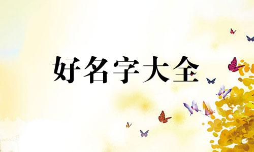 如何给水母起名字好听一点