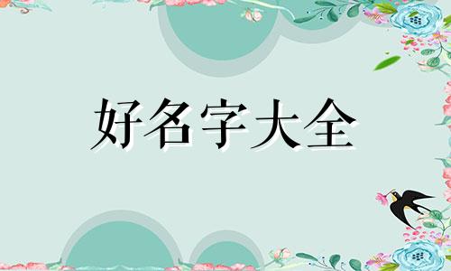 如何给布偶起名称好听男