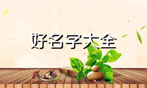 纪录片如何起名称好听点