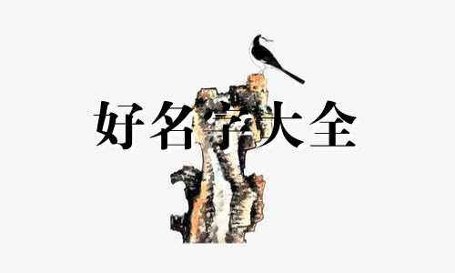 姓曹善字辈如何起名字好听
