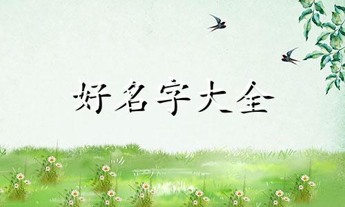如何给农产品行业起名字