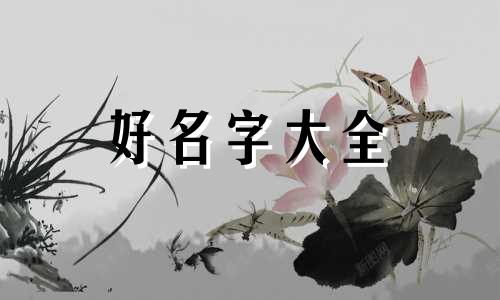 如何给猫起名字比较好听