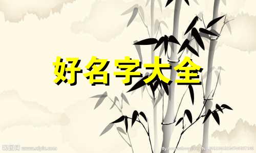 如何给猫起名字才好听呢男