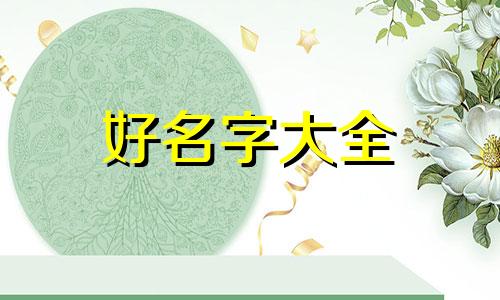 如何为一个项目起名字呢