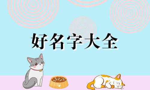 如何给盲盒店铺起名字好听