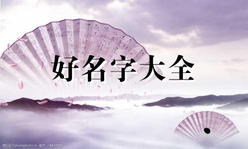 如何给小泰迪起名好听一点