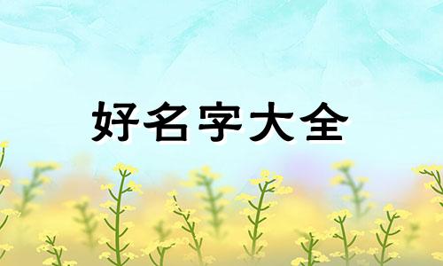 中端美容院如何起名字好听