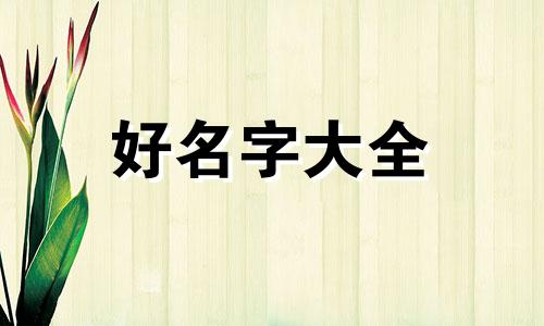 卤串如何起名字吸引人气