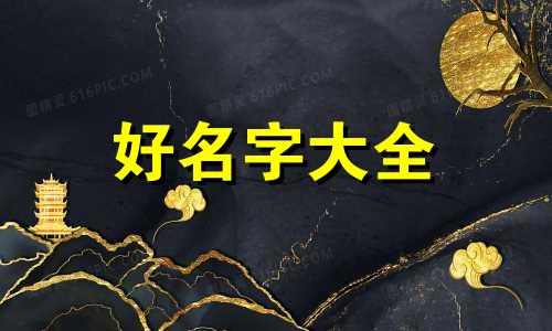 我要如何给荷兰猪起名字