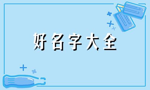 如何给柯基起名字好听点男